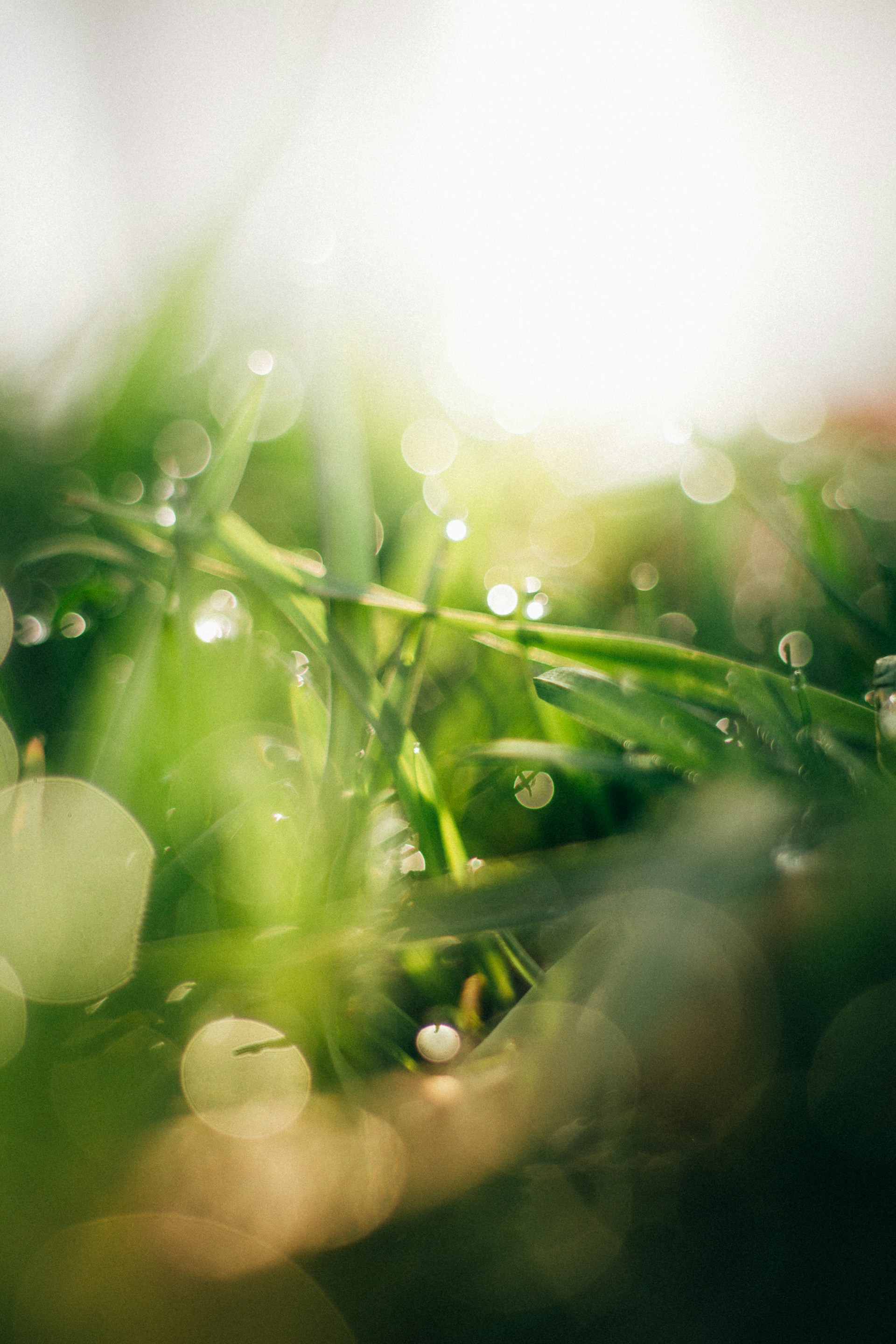sustainability